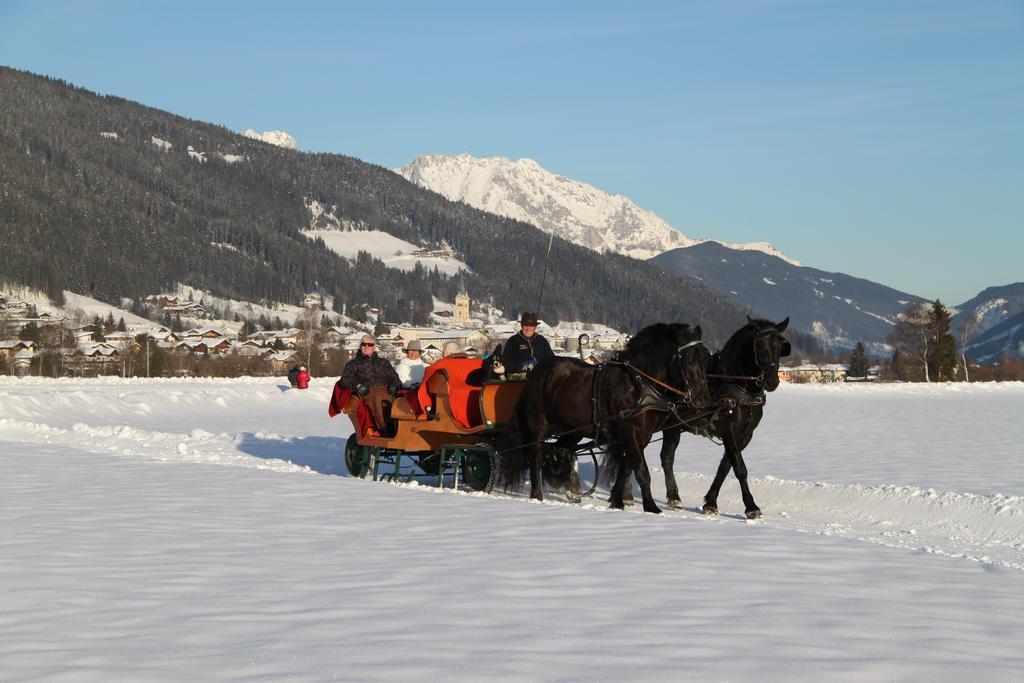 Haus Krismer Radstadt Oda fotoğraf